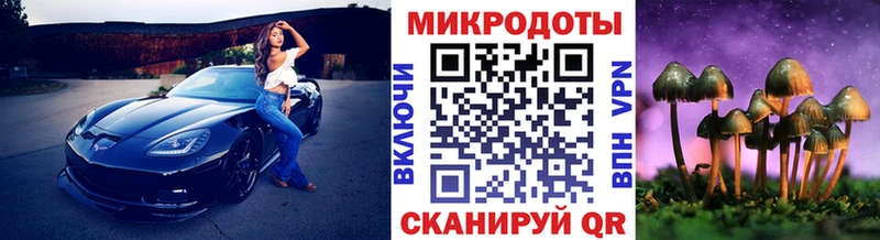 Купить где  Бирюсинск  Галлюциногенные грибы мицелий 